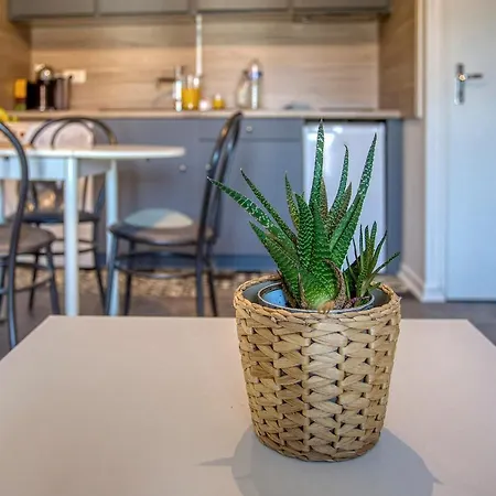 Apartment Centre-ville - Calme -proche Gare